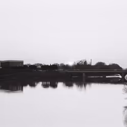 44