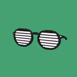 Sunglasses #302