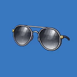 Sunglasses #666
