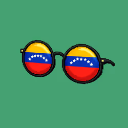 Sunglasses #1060