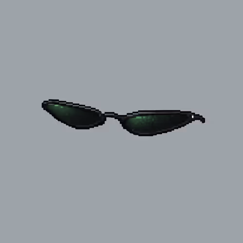 Sunglasses #1069