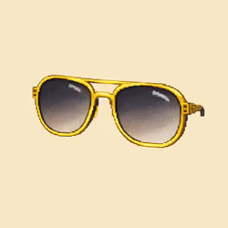 Sunglasses #1231
