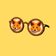 Sunglasses #670