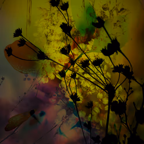 Envious Nature #44