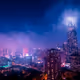 Night Life 2049