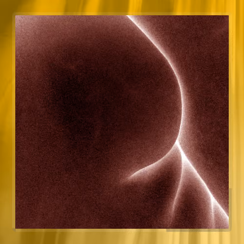 BUTTER - Golden Egg