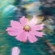 284