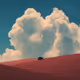 Rodeo posts