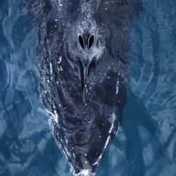 95