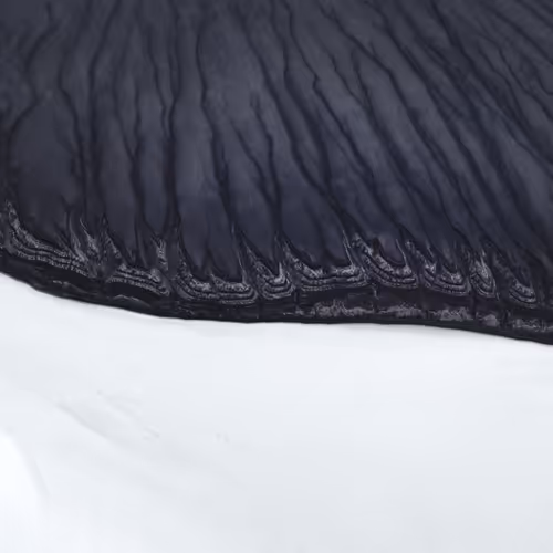 Rodeo Posts 7771
