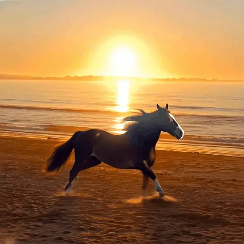Horse on the beach at golden hour