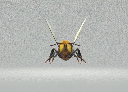 Crypto Bees 2