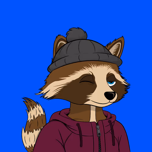 Raccool 1
