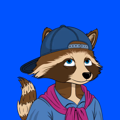 Raccool 1