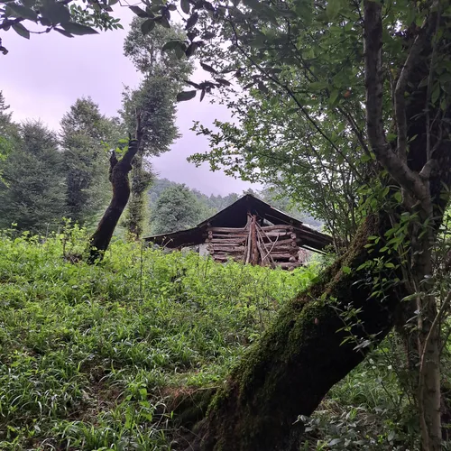 A Cottage In Hyrcani