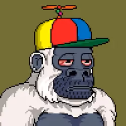 Crypto Kongs
