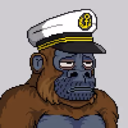 Crypto Kongs