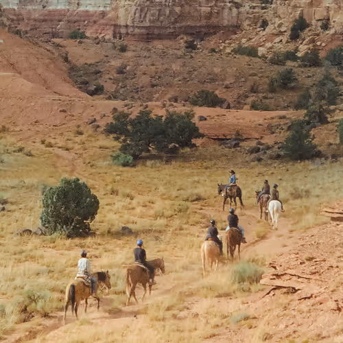 Rodeo posts