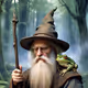 Based Wizard And Frog