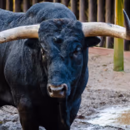 common100