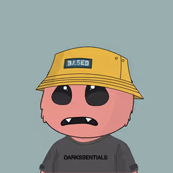 53