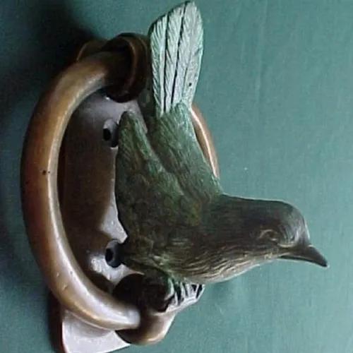 Bird 153