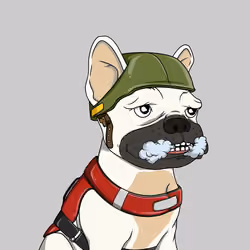 DeFi Dogs #562
