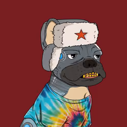 DeFi Dogs #559