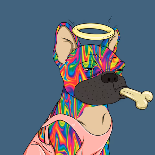 Defi Dogs 1