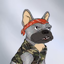 DeFi Dogs #566