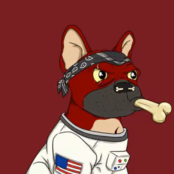 DeFi Dogs #567