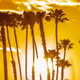 Golden Moments