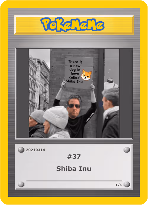 Item #37 Media
