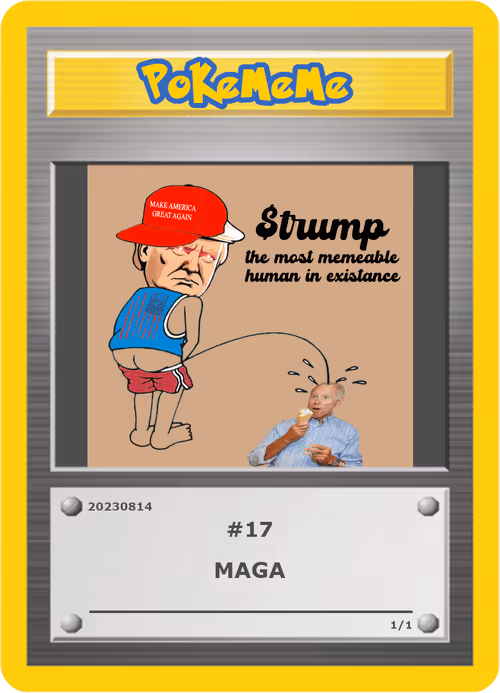Item #17 Media