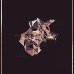 24