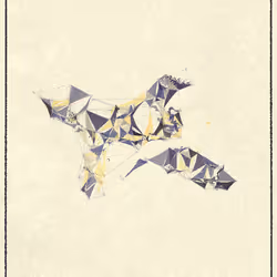 29