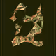 81