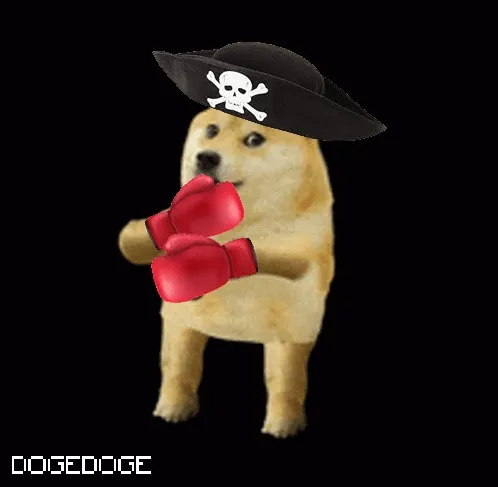 D0ge Meme