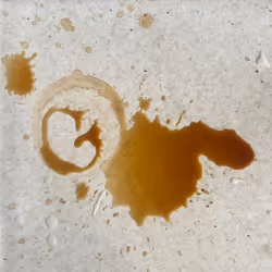 Gmmm…but coffee first!