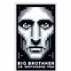 Big Brother NFT