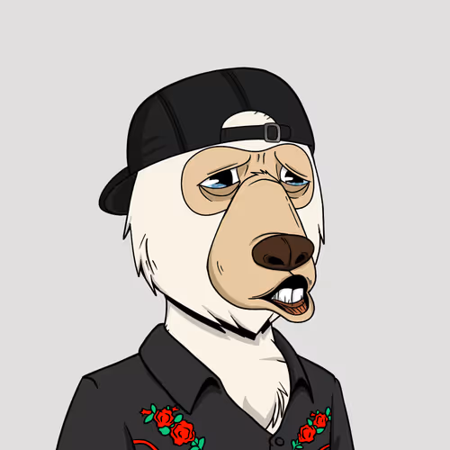 Okaybearsyachtclub