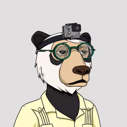 Okay Bears Yacht Club #2624