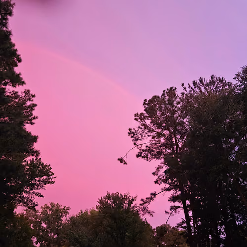 Silhouette Sky #31