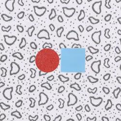 97