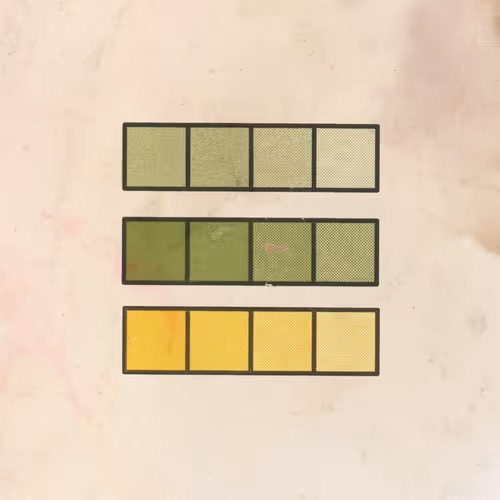 Item #54 Media