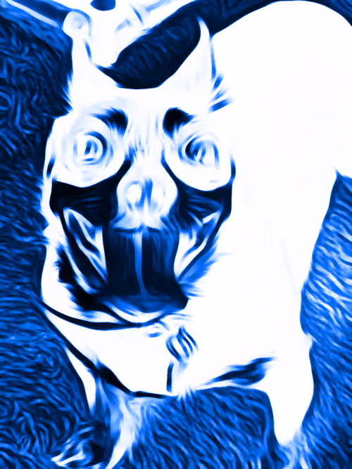 Item #114201124139864233801498491112343598475186423245283314585993698886255802056709 Media