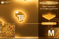 Item Media