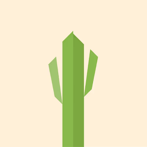 Cactus Echo