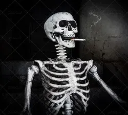 skeleton #9