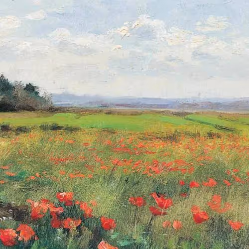 Meadow